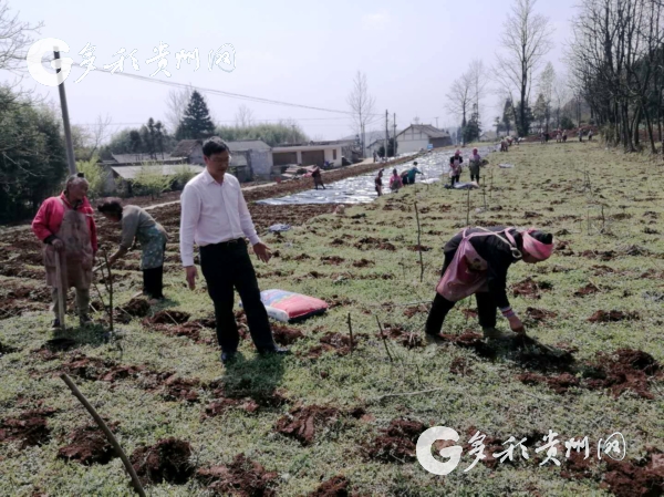 （人物、社會）胡榮平：生命不止，奮鬥不息 願把一生獻給畜牧事業