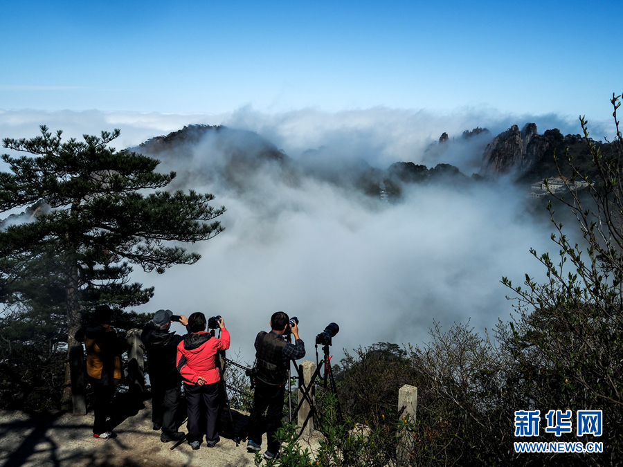 四月黃山現雲海 不管晴雨冬和夏