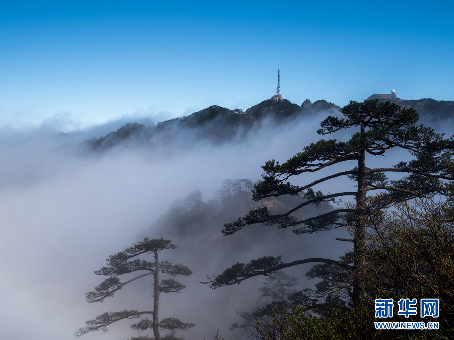 四月黃山現雲海 不管晴雨冬和夏