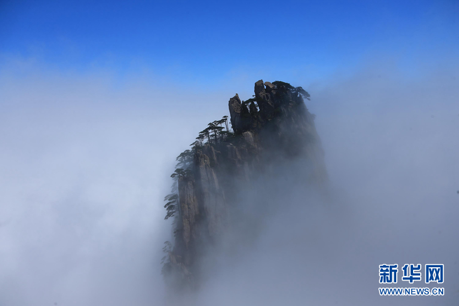 四月黃山現雲海 不管晴雨冬和夏