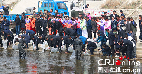 03【吉林】【供稿】【CRI看吉林（標題）】【生態吉林（標題）】【關東黑土（延邊）】【移動版（圖）】40萬尾大麻哈魚苗放流圖們江