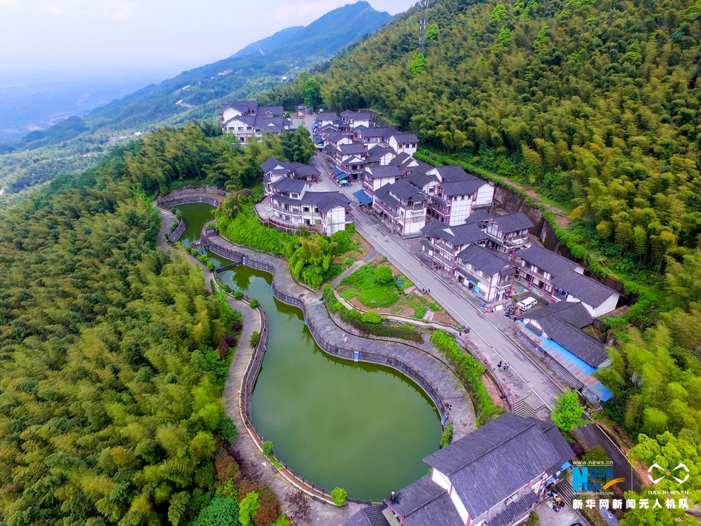 航拍重慶茶山竹海 青翠欲滴春意盎然