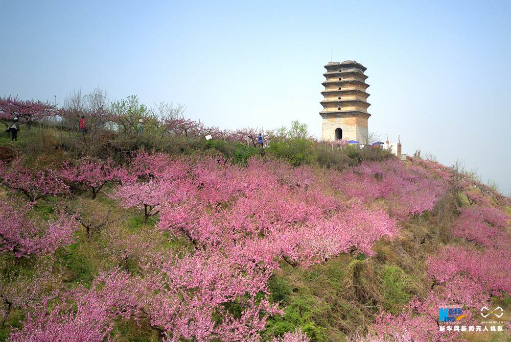 航拍西安春日桃花 燦若雲霞如仙境