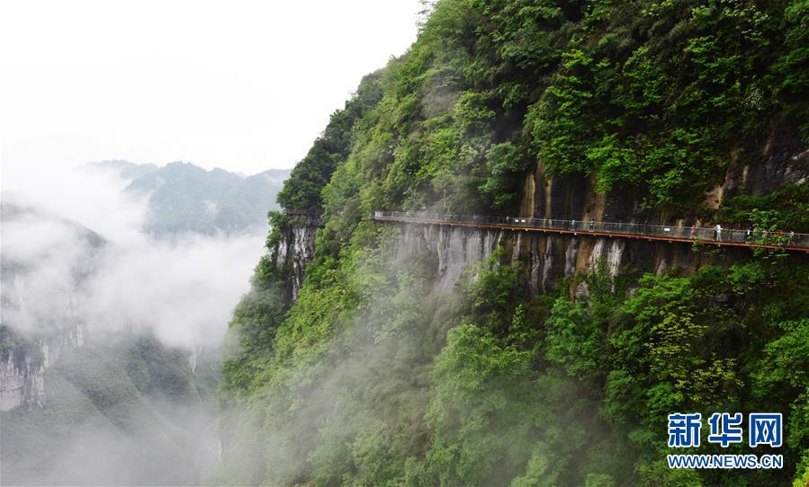 浙江仙居：雲霧縹緲景如畫