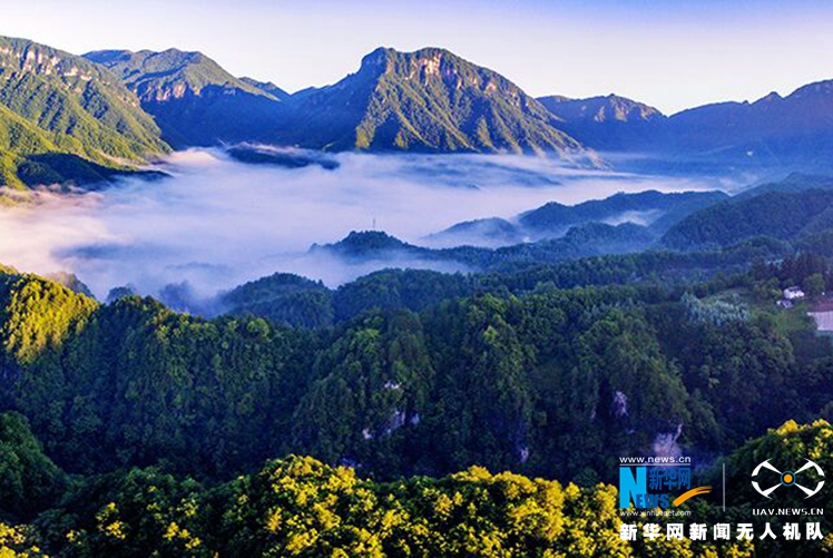 神農架雲海動靜皆美 愛上“地球之肺”的航拍在這兒