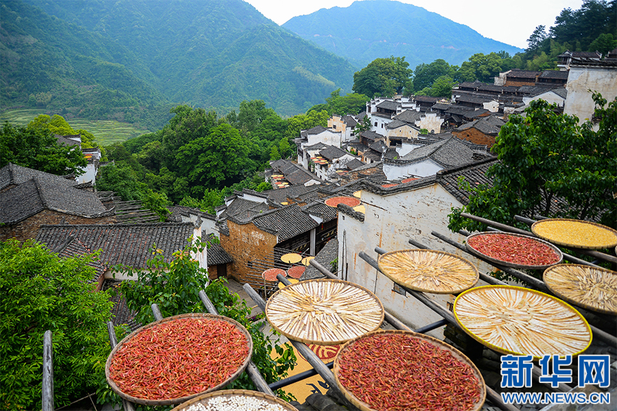 北大校慶日江西校友篁嶺“曬”祝福