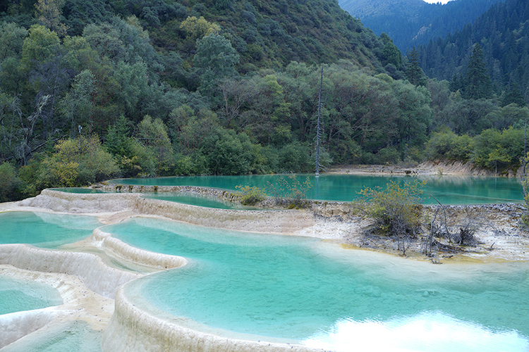 “夢”遊九寨｜國慶假期去哪兒？走，縱情山水玩轉九寨_fororder_神仙池景區一角-攝影-楊雯涵