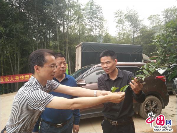 湖南安化:立足特色産業發動 蓄力打造山水茶鄉