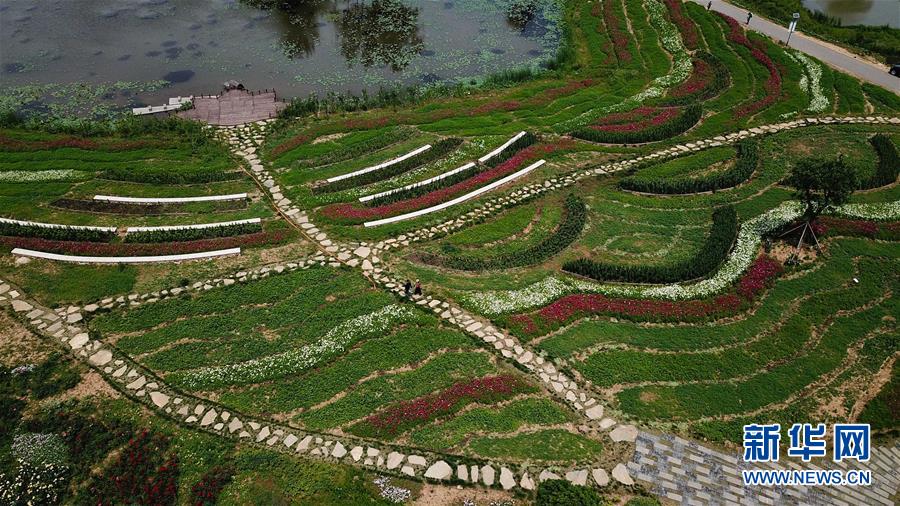 南京：美麗觀音殿 特色田園村