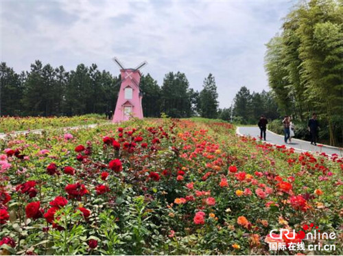 （供稿 旅遊列表 三吳大地南京 移動版）2018第四屆環山河·南京玫瑰節開幕