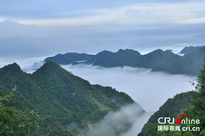 【CRI原創】襄陽保康在深圳文博會簽約66億文化項目