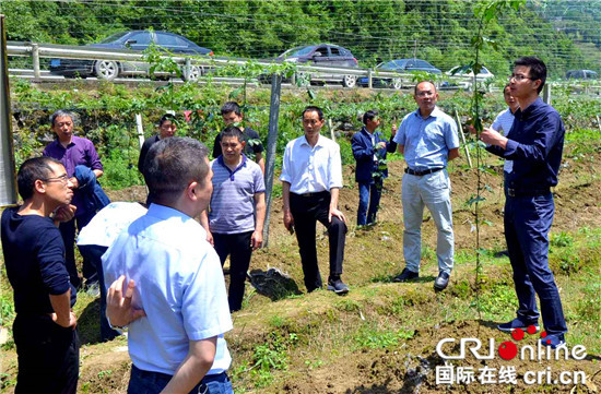 【區縣聯動】【石柱】重慶石柱：馬武鎮、橋頭鎮攜手破解脫貧攻堅難題【區縣聯動 列表】重慶石柱：兩鎮攜手破解脫貧攻堅難題