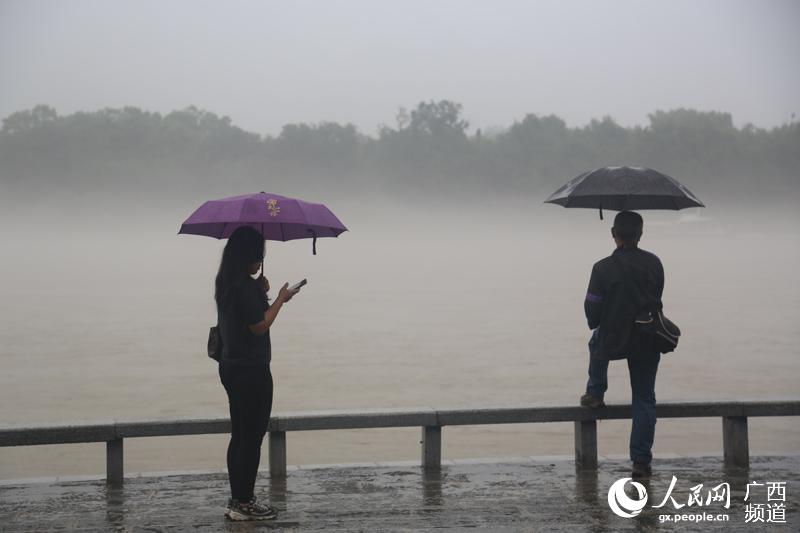 圖片默認標題_fororder_遊客觀賞“煙雨漓江”美景2.JPG