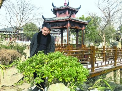 【圖説江夏】回鄉能人投資6000萬建徽派莊園