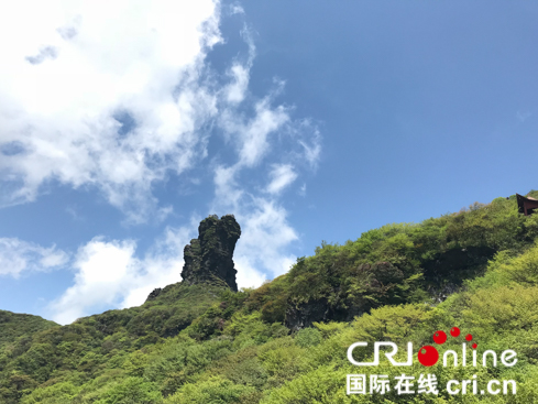 （要聞、移動版、地市銅仁）【美麗中國長江行】梵凈山下:“靠山吃山"打造生態産業