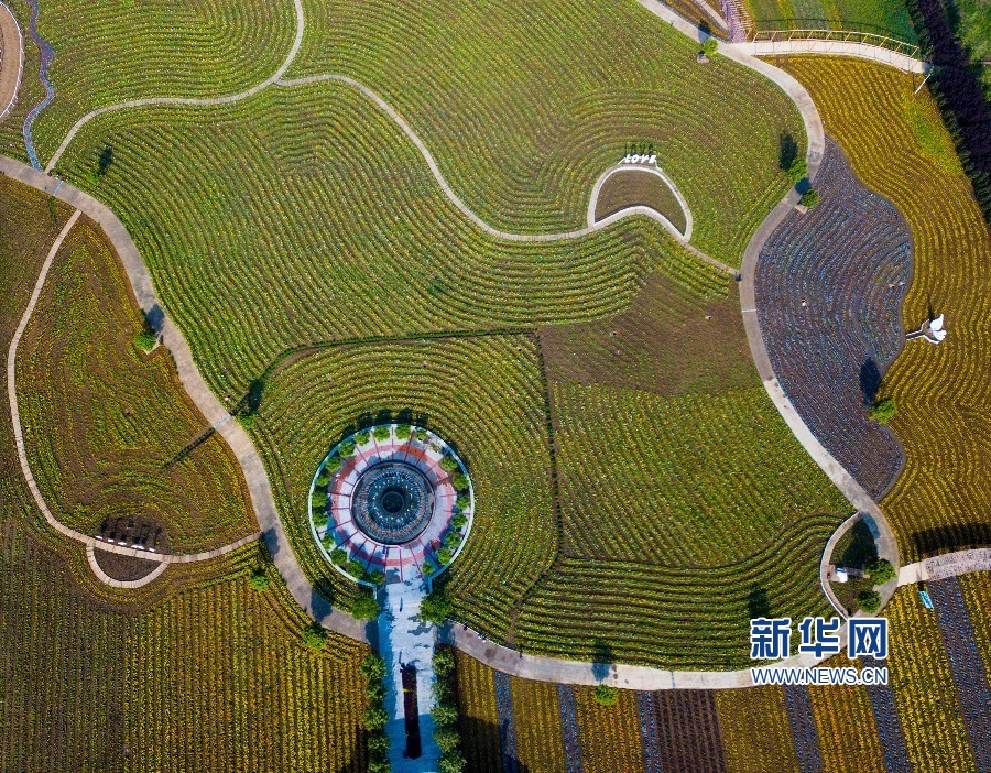 天津：紫雲水岸 風景如畫