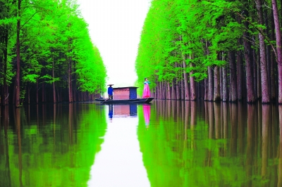 江漢平原“長出”夢裏水鄉 ——勾繪大型旅遊田園綜合體新境界