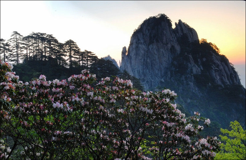 盤點五月黃山看點：不可錯過的人間美景(圖)