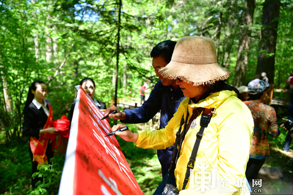 “中國最美紅松”在雪鄉揭牌 夏季旅遊産品清涼上線