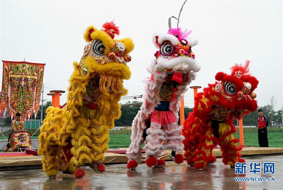 河南溫縣：中國旅遊日：共享太極 共享健康