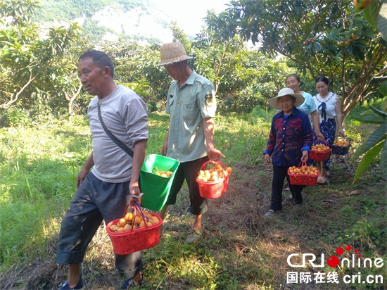 織金縣山口村：將打造旅遊田園綜合體  讓村民增收致富