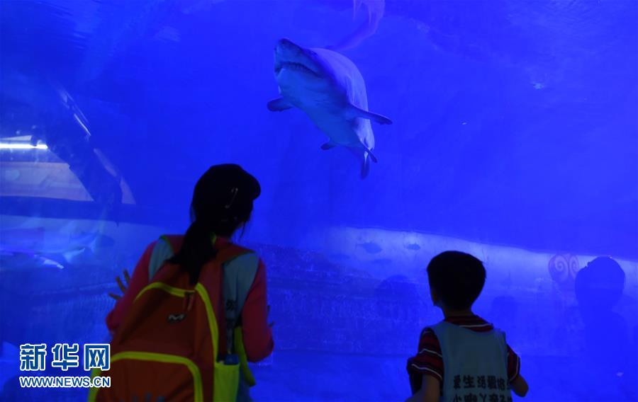 青島：夜宿“海底”親近海洋