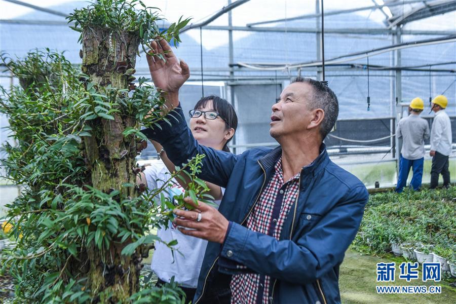 浙江慈溪：鹽鹼地科技種植助力現代農業