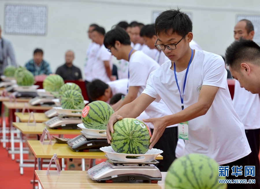 河南：“西瓜之鄉”舉辦創意西瓜賽