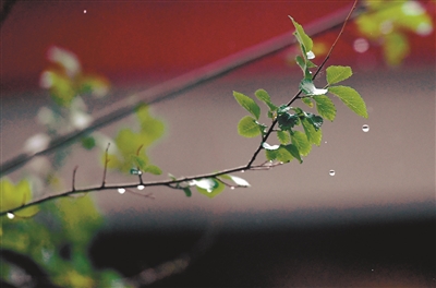 瀋陽昨日喜雨：舉首天挂虹 低頭水映穹