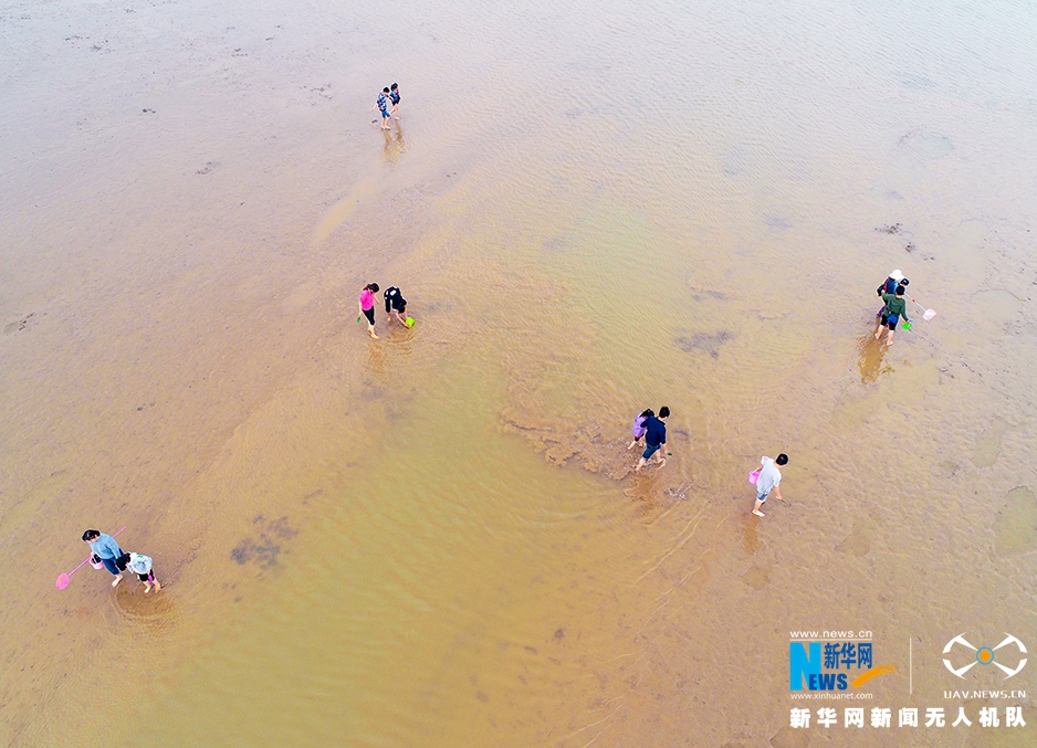 江蘇：航拍東臺灘塗 淺灘嬉戲趕海忙