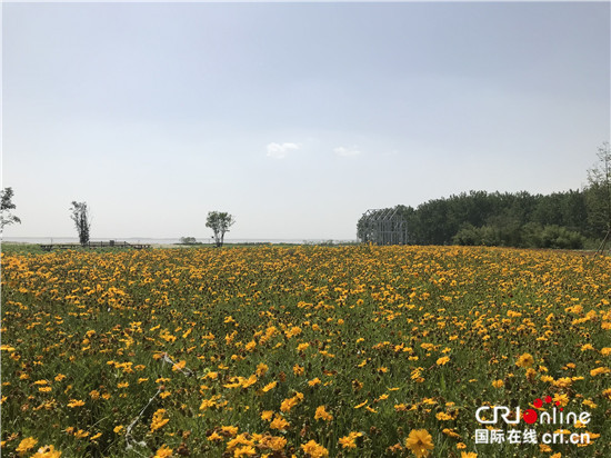 （原創 本網專稿 三吳大地淮安 移動版）淮安洪澤蔣壩：建旅遊品牌 續古鎮神韻（條目標題是：淮安洪澤蔣壩：建古鎮旅遊品牌）