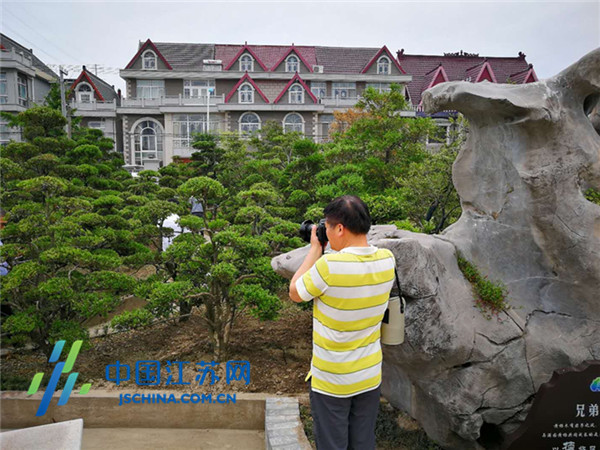 （旅遊列表 三吳大地南通 移動版）南通如皋顧莊村：鄉村振興旅遊富民先進村