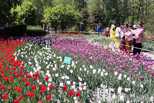 哈爾濱市現有公園42個近九成免費開放