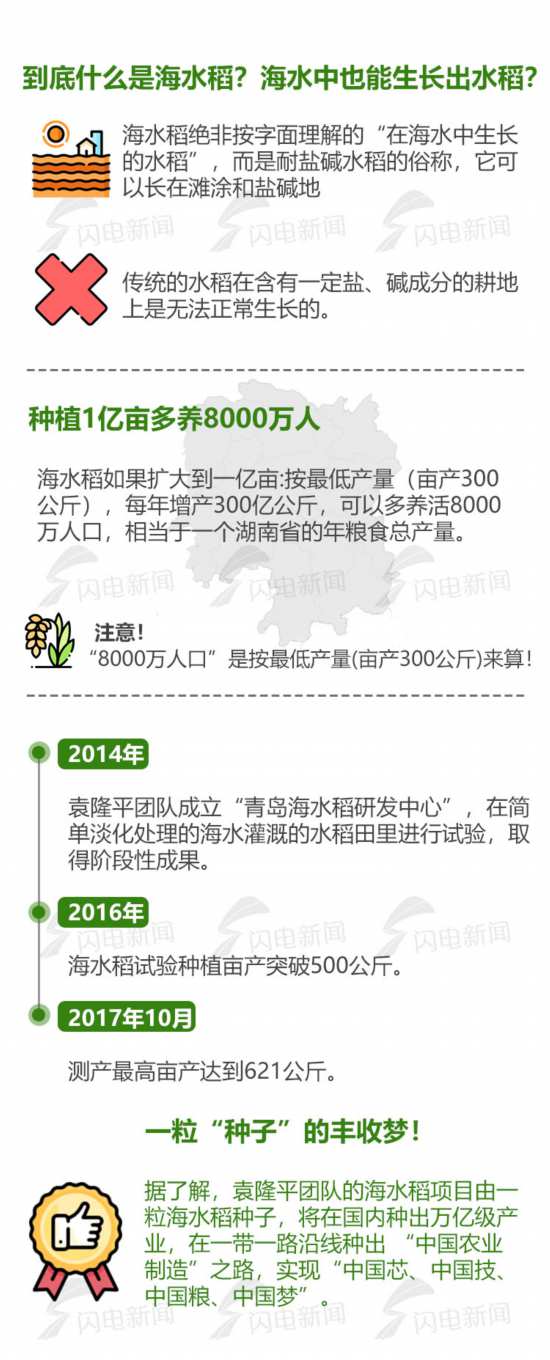 "青島造"海水稻走向全國 五大類型鹽鹼地試種