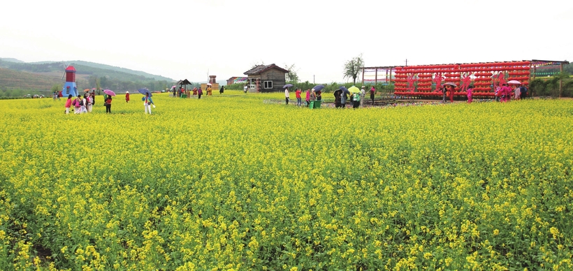 東遼縣萬畝油菜花盛開