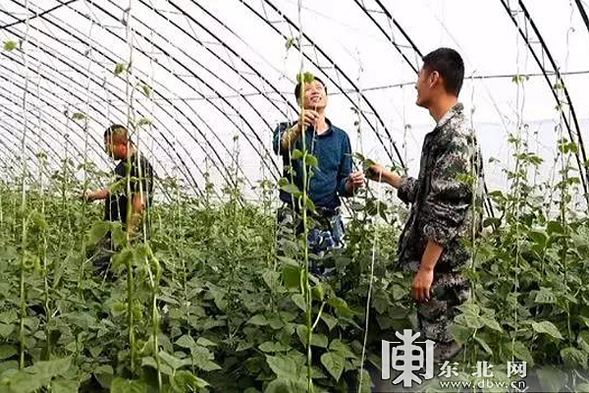 綏化綏棱重點國有林管理局推進職工就業創業