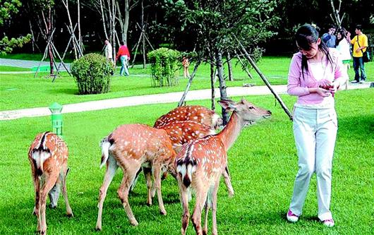 中國農谷 秀出國家農業公園俏模樣