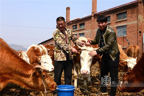 牡丹江重點國有林管理局全境“封山禁牧”進入倒計時