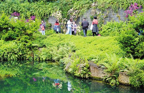 [園區建設-圖文、移動端]南寧生態治水成為全國範本 城市海綿化改造打造人水和諧新景