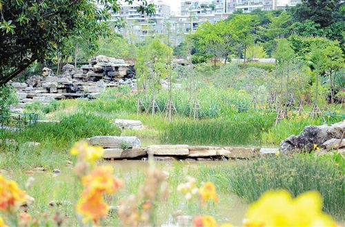 [園區建設-圖文、移動端]南寧生態治水成為全國範本 城市海綿化改造打造人水和諧新景