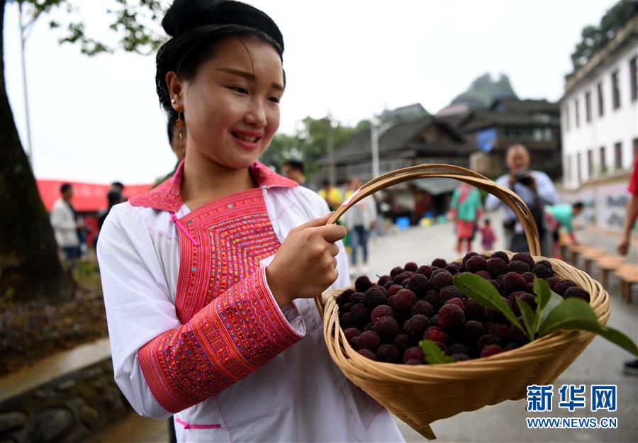 貴州榕江：趣味楊梅節迎四方客