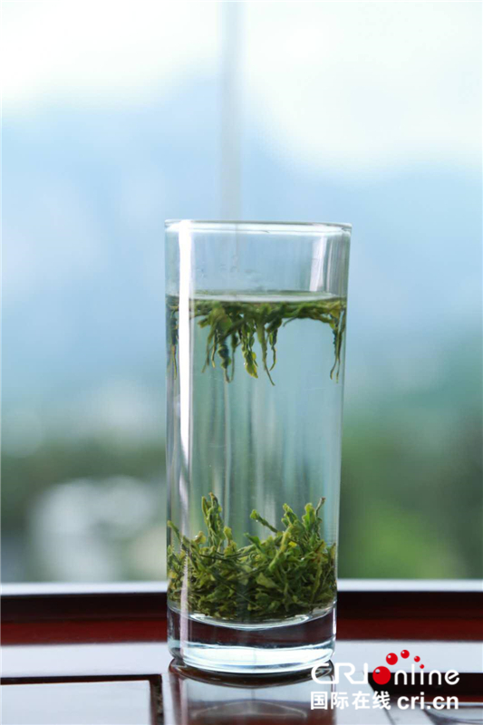 湖北巴東：茶旅巧融合 茶鄉變景區