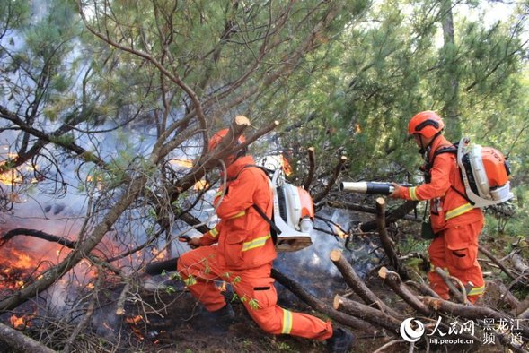 黑龍江呼中國家級自然保護區內蒙古過境林火基本得到有效控制