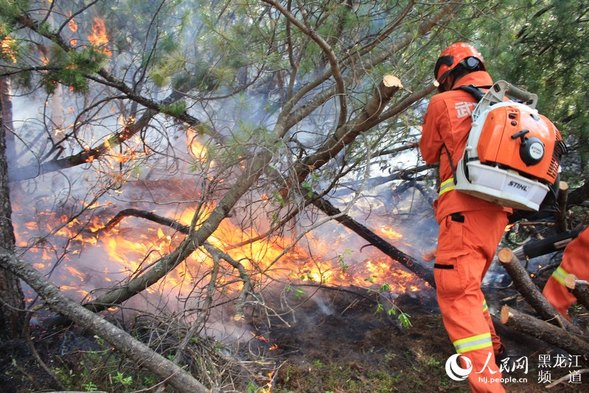 黑龍江呼中國家級自然保護區內蒙古過境林火基本得到有效控制