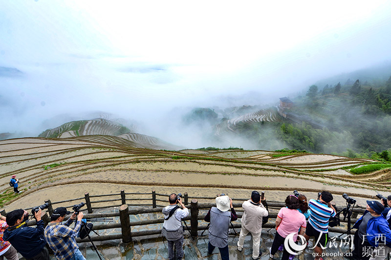 [焦點圖、移動端、八桂大地]廣西龍勝雨後梯田如鏡如畫