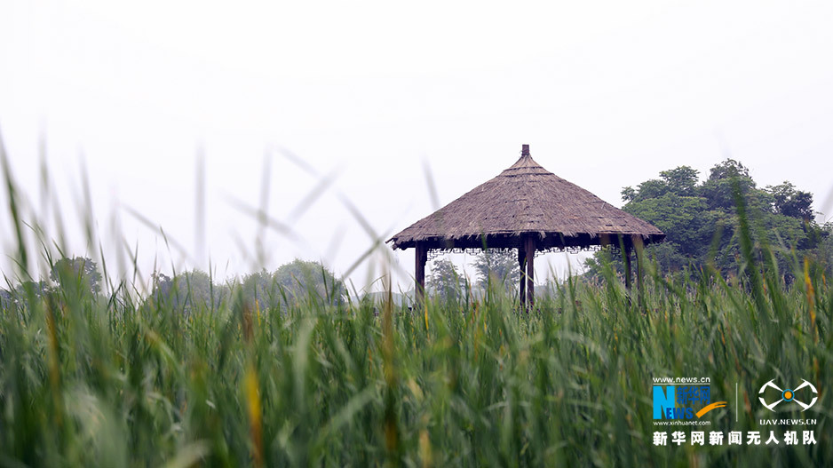 航拍無錫梁鴻濕地公園 探尋吳地歷史