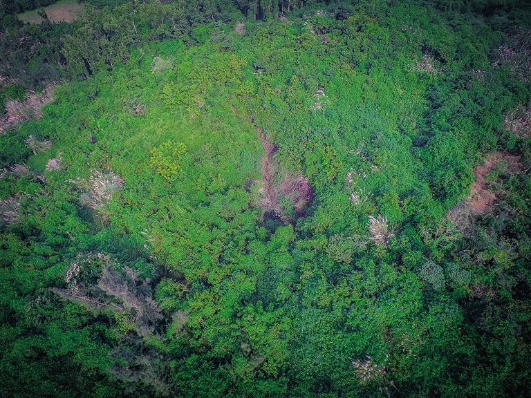 【輪播圖】【即時快訊】揭開海南火山一角 北部地區有火山100多座