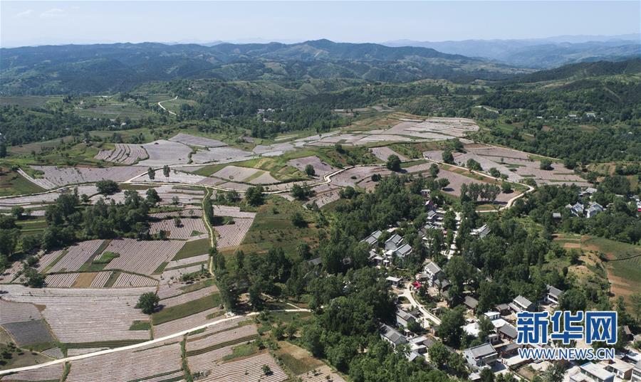 陜西洛南：錦繡大地蘊豐收