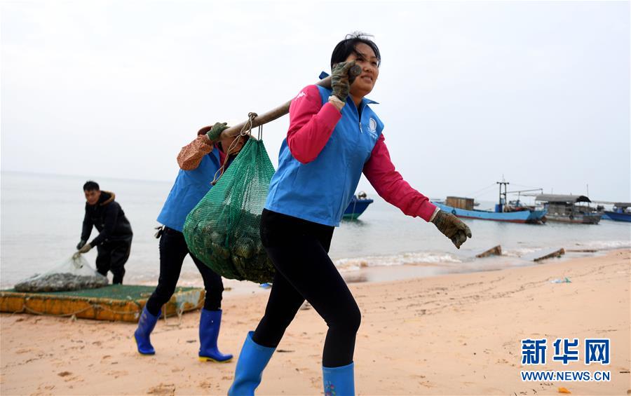 世界海洋日：保護和可持續利用海洋