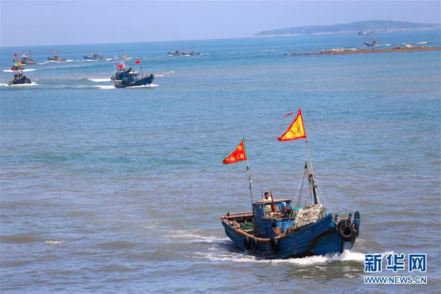 世界海洋日：保護和可持續利用海洋